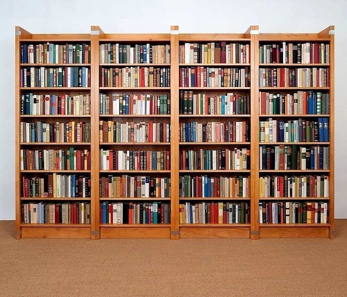 Bücherwand Erle Naturton mit Büchern