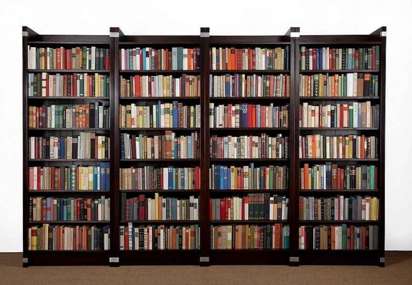 Bücherwand Einsplus mit Büchern